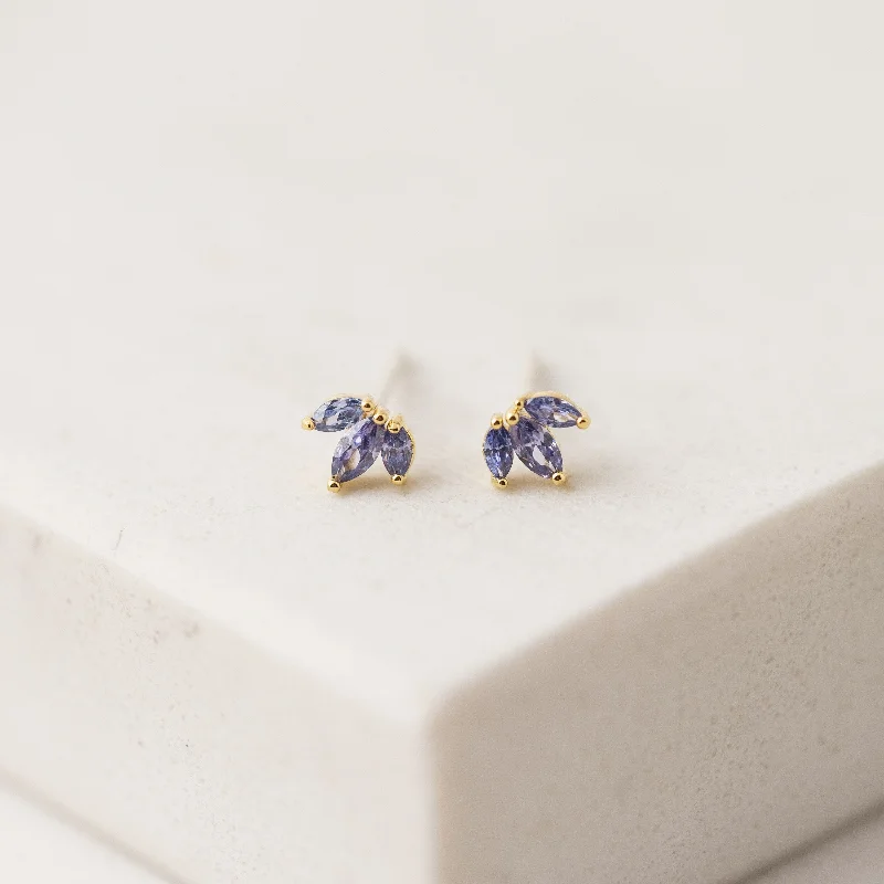 Hypoallergenic Stud Earrings for Sensitive -Tiara Stud Earrings