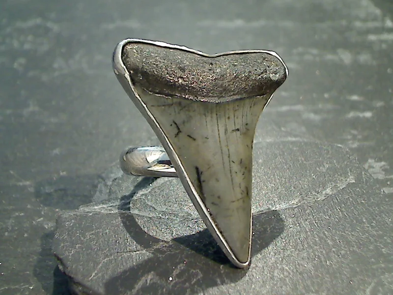 Women’s rings with polished jade for calm -Adjustable Size Fossil Shark Tooth, Fine Sterling Silver Ring