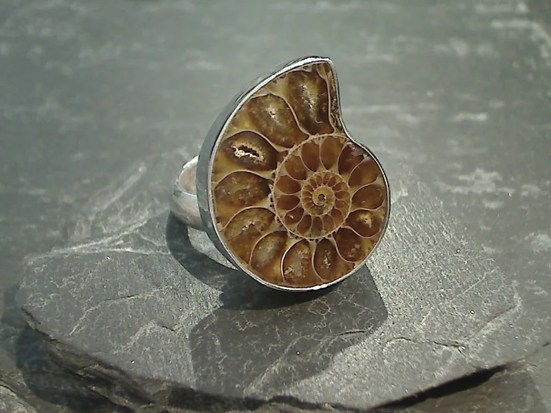 Women’s rings with rough opal for beauty -Adjustable Size Fossil Ammonite, Fine Sterling Silver Ring